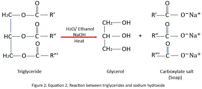 reaction between triglycerides and sodium hydroxide
